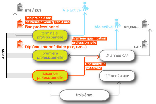 Français et histoire en ccf au BEP: la honte - Page 2 Schema_renovation_voie_pro_43793.13